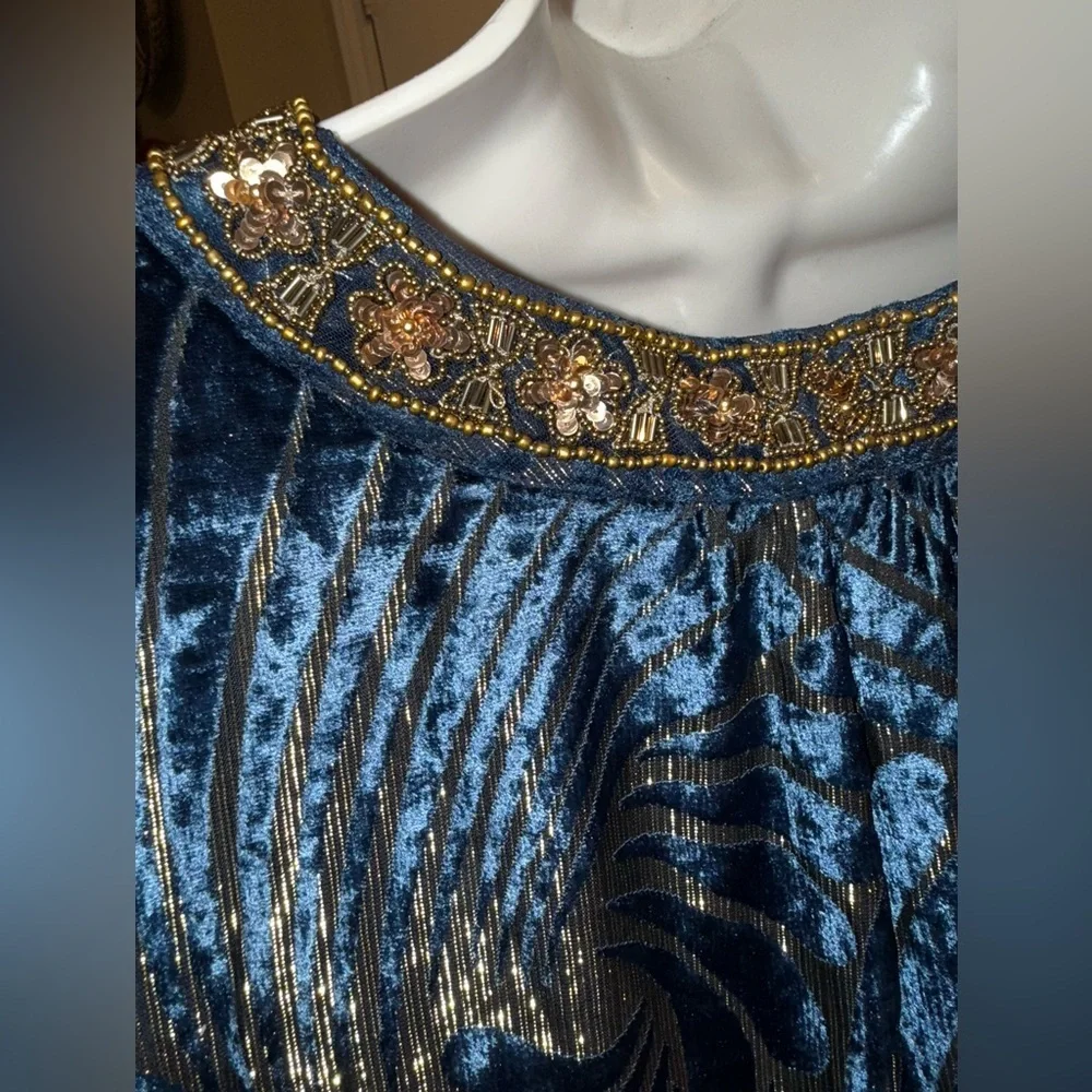 Soft Surroundings Adrienne Embroidered Velvet Tunic - Picture 5 of 11